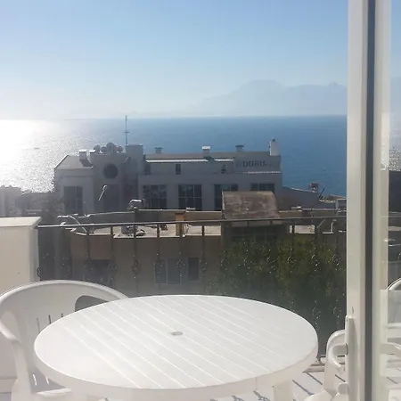 Pinus Antalya