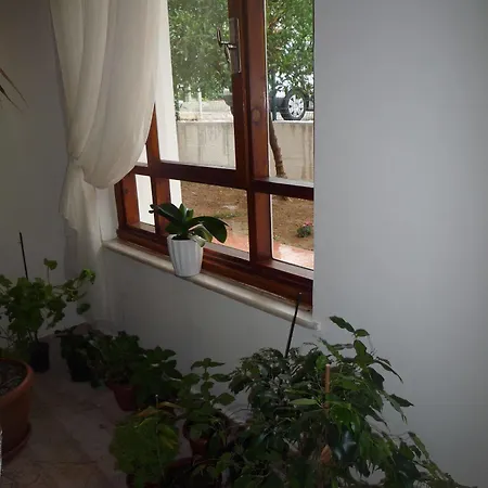 Hotel Pinus Antalya