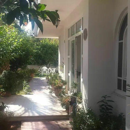 Hotel Pinus Antalya